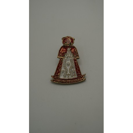 PINS PASTORA CORPOREA