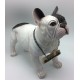 Perro bulldog frances