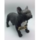 Perro bulldog frances