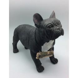 Perro bulldog frances