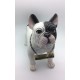 Perro bulldog frances