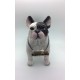 Perro bulldog frances