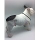 Perro bulldog frances